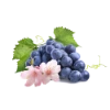 Sakura Grape